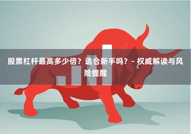 股票杠杆最高多少倍？适合新手吗？- 权威解读与风险提醒