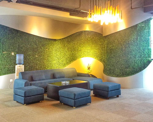 厦门冠赢网络科技 引领网络科技技术开发新潮流