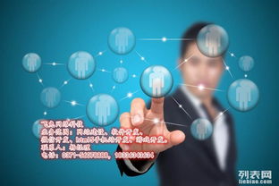 飞兔网络科技 郑州网站建设、APP开发与游戏开发的技术领航者